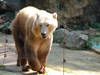Visión general: Zoo Osnabrück