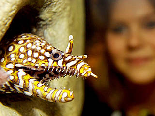 © Sea Life Hannover