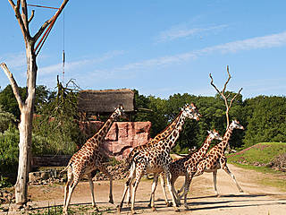 © ZOOM Erlebniswelt Gelsenkirchen